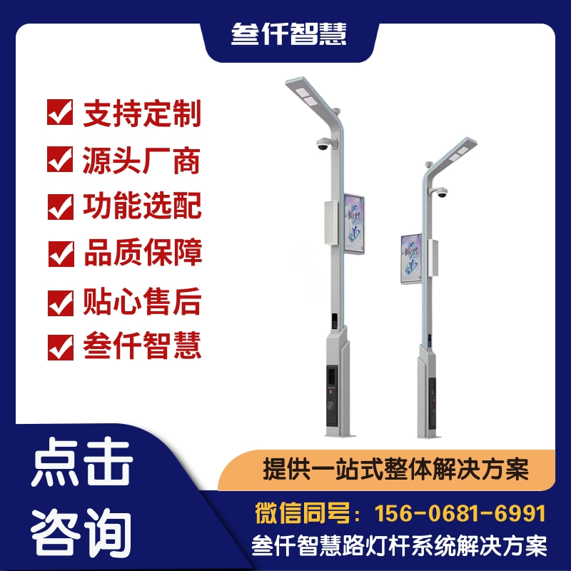 2024年智慧路灯中标数据报告：关键趋势与洞察